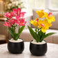 Premium Artificial Orchid Plant Set